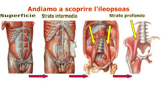 Operazione di un petto berkovy